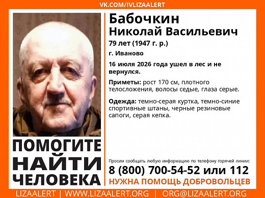 В Ивановской области ищут заплутавшего грибника